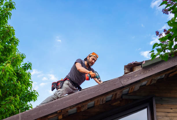 Best Skylight Installation and Repair  in Purdy, MO